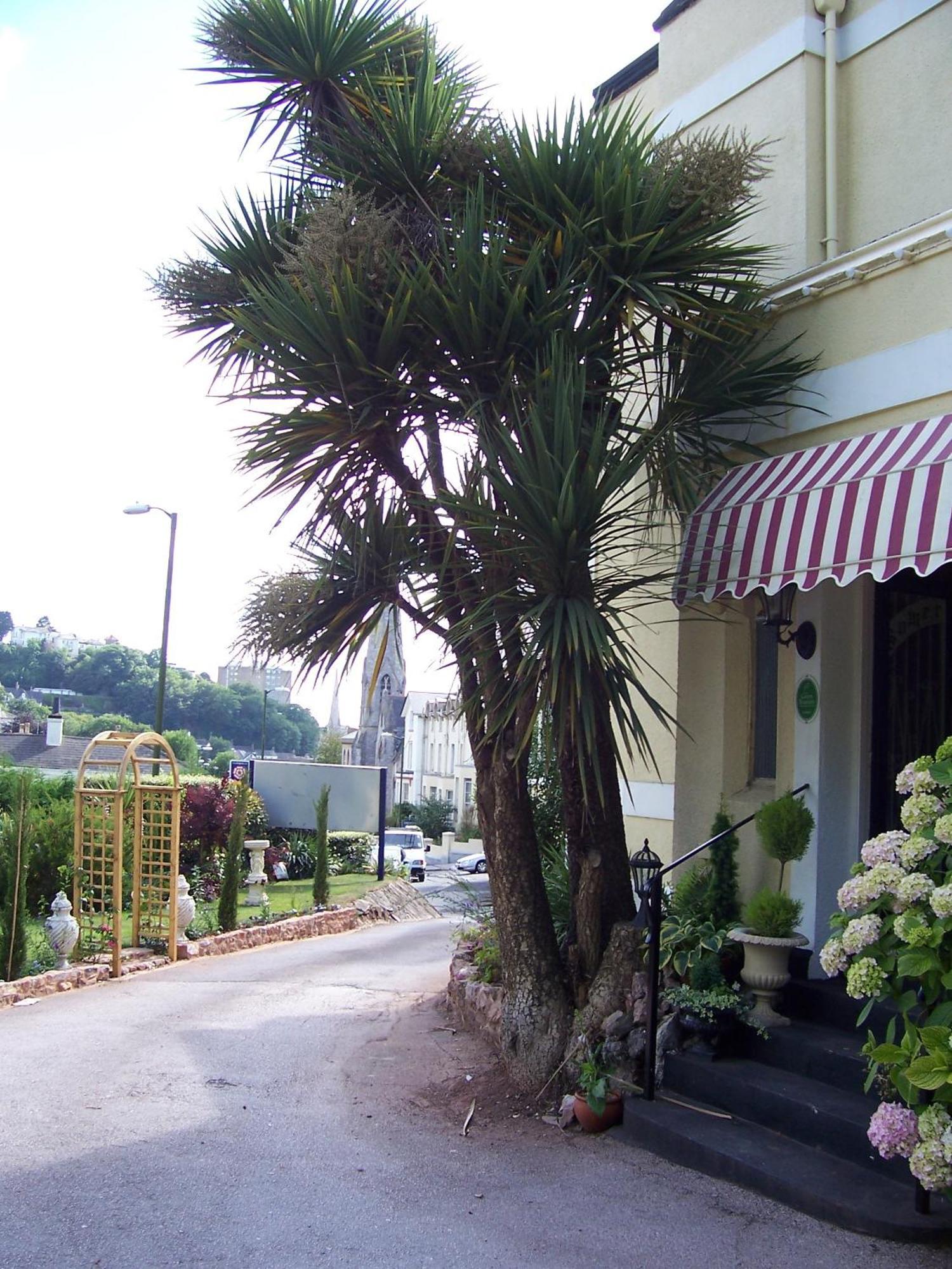 The Somerville Torquay Exterior foto